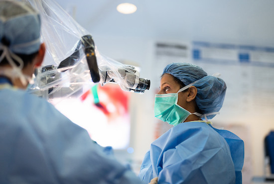 vascular surgeons