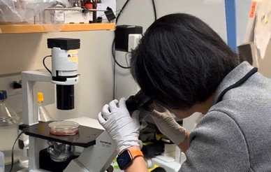 Yuan Chen looking into microscope in laboratory