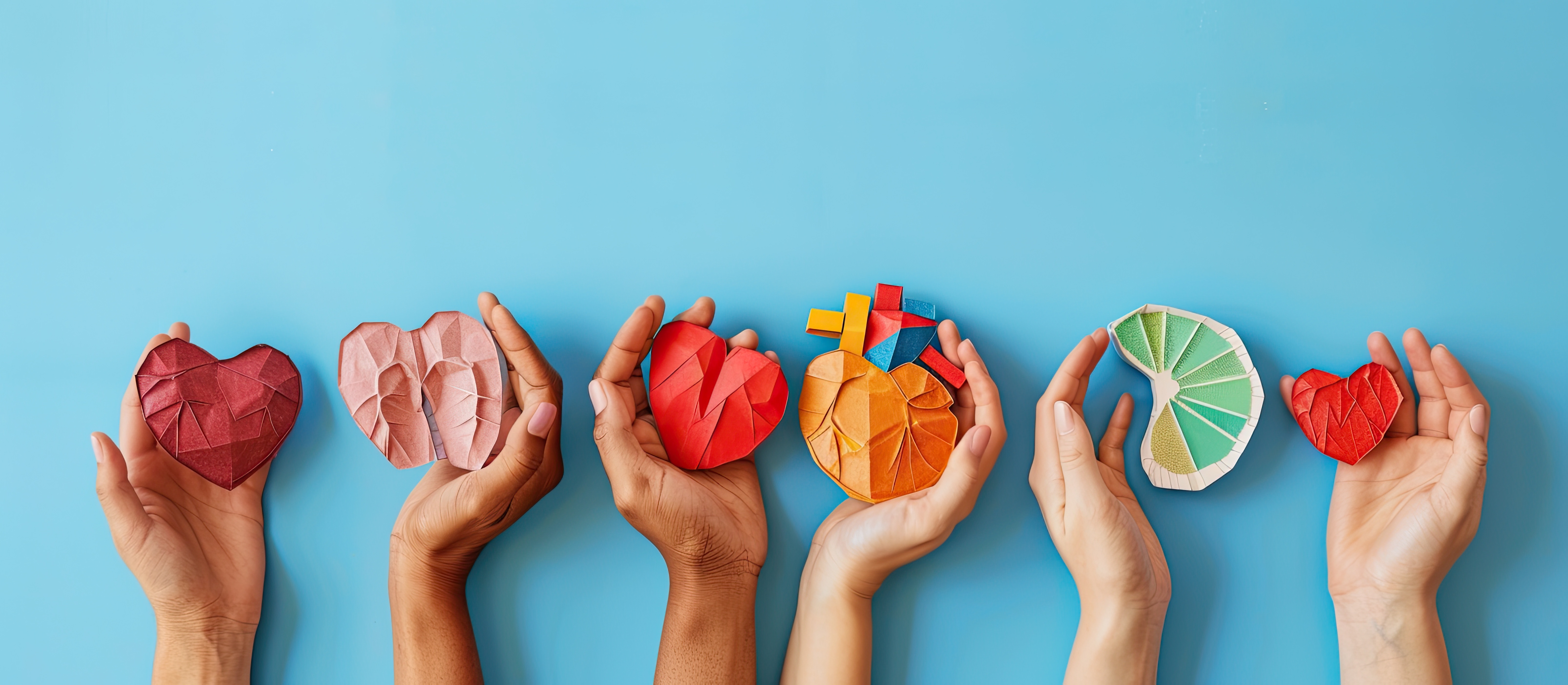 Hands holding paper hearts